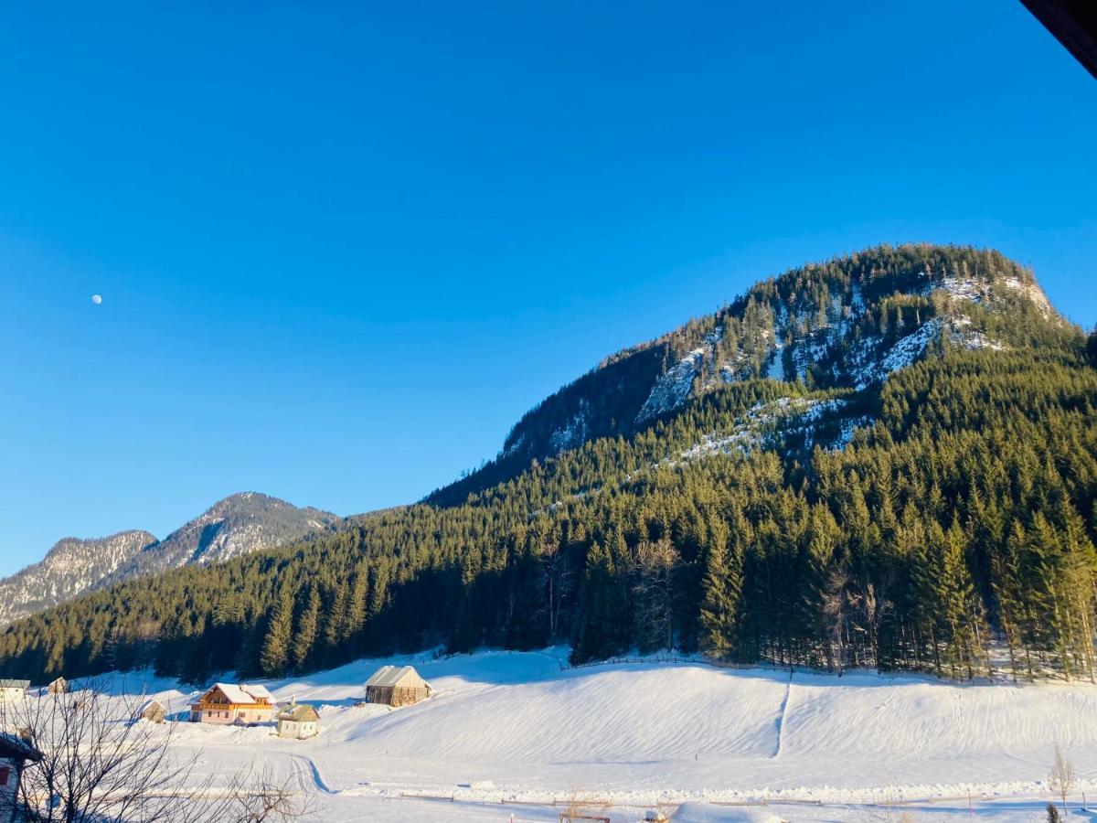 Hallstatt Dachstein Inn Gosau Eksteriør billede