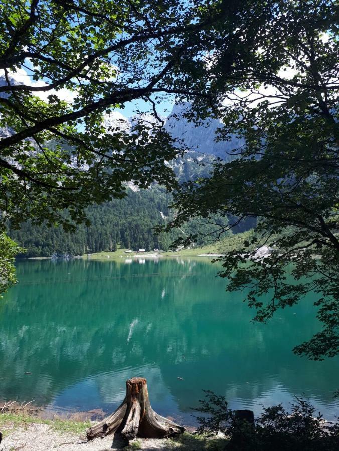 Hallstatt Dachstein Inn Gosau Eksteriør billede