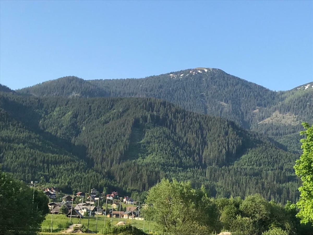 Hallstatt Dachstein Inn Gosau Eksteriør billede